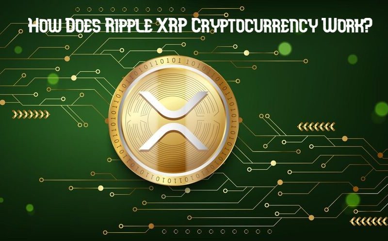 How Does Ripple XRP Cryptocurrency Work?