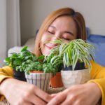 Which Plants Should Avoid During Allergies in the USA?